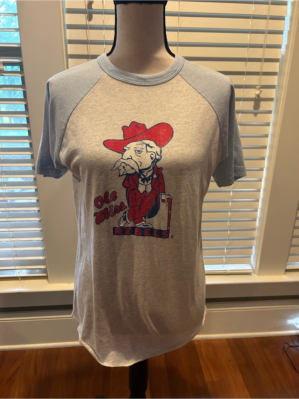 Ole Miss Rebels Vintage-Style Raglan T-Shirt in Light Gray and Light Blue size S